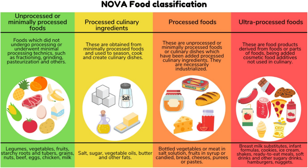 NOVA classification system